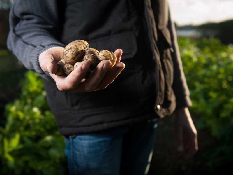 Rendi possibile la&nbsp;crescita