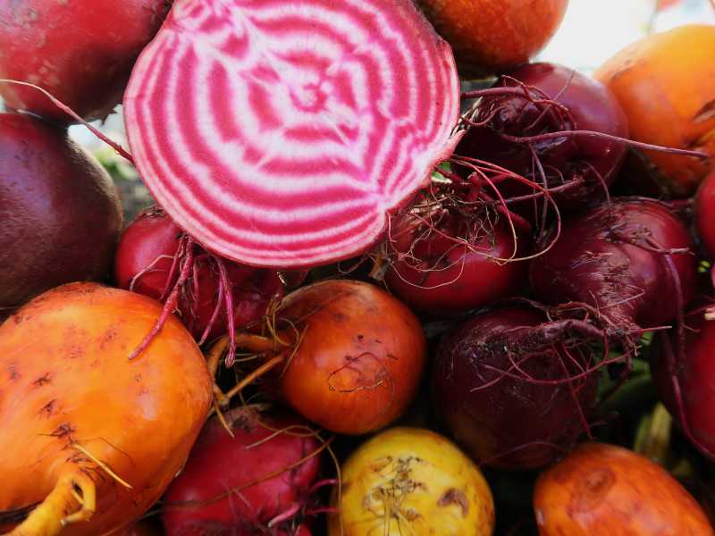 Il trionfo del lavoro di&nbsp;squadra